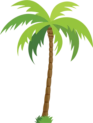vector